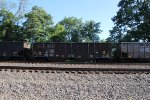 NS 10090